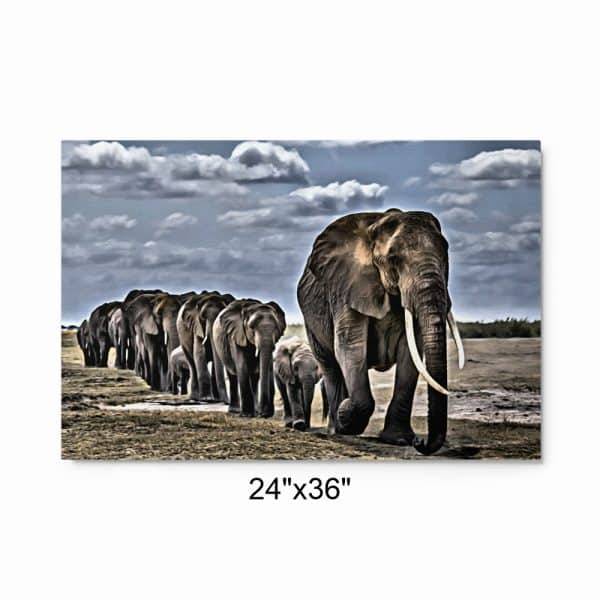 Metal Prints Hanging Frame for Living Room Hall Study or Kitchen Wall Art #003 | Elephants Africa